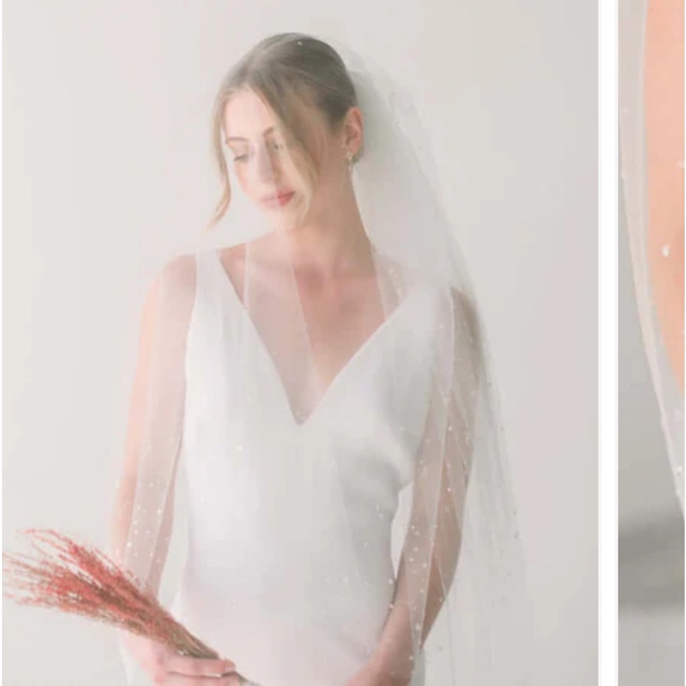 2 layer- 55' Dew drop veil